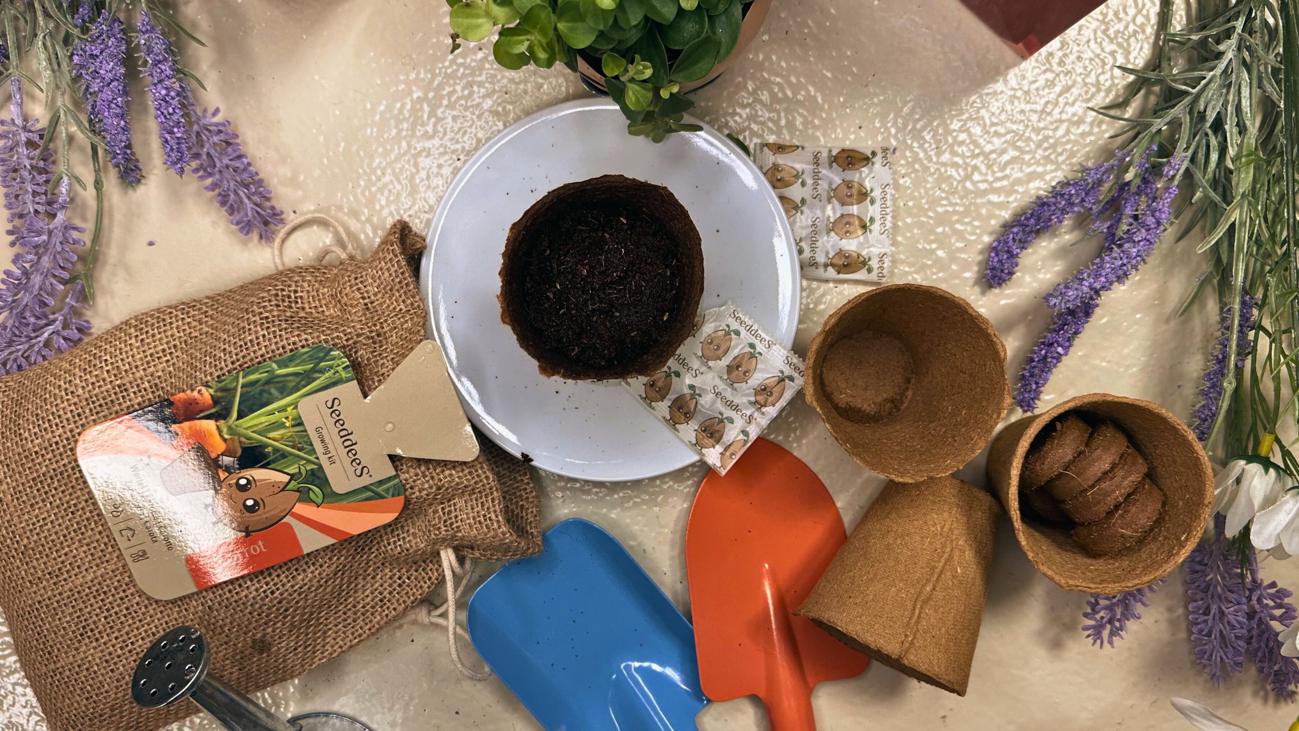 Zaaien met SeeddeeS® in Februari en Maart: Wat voorzaaien?